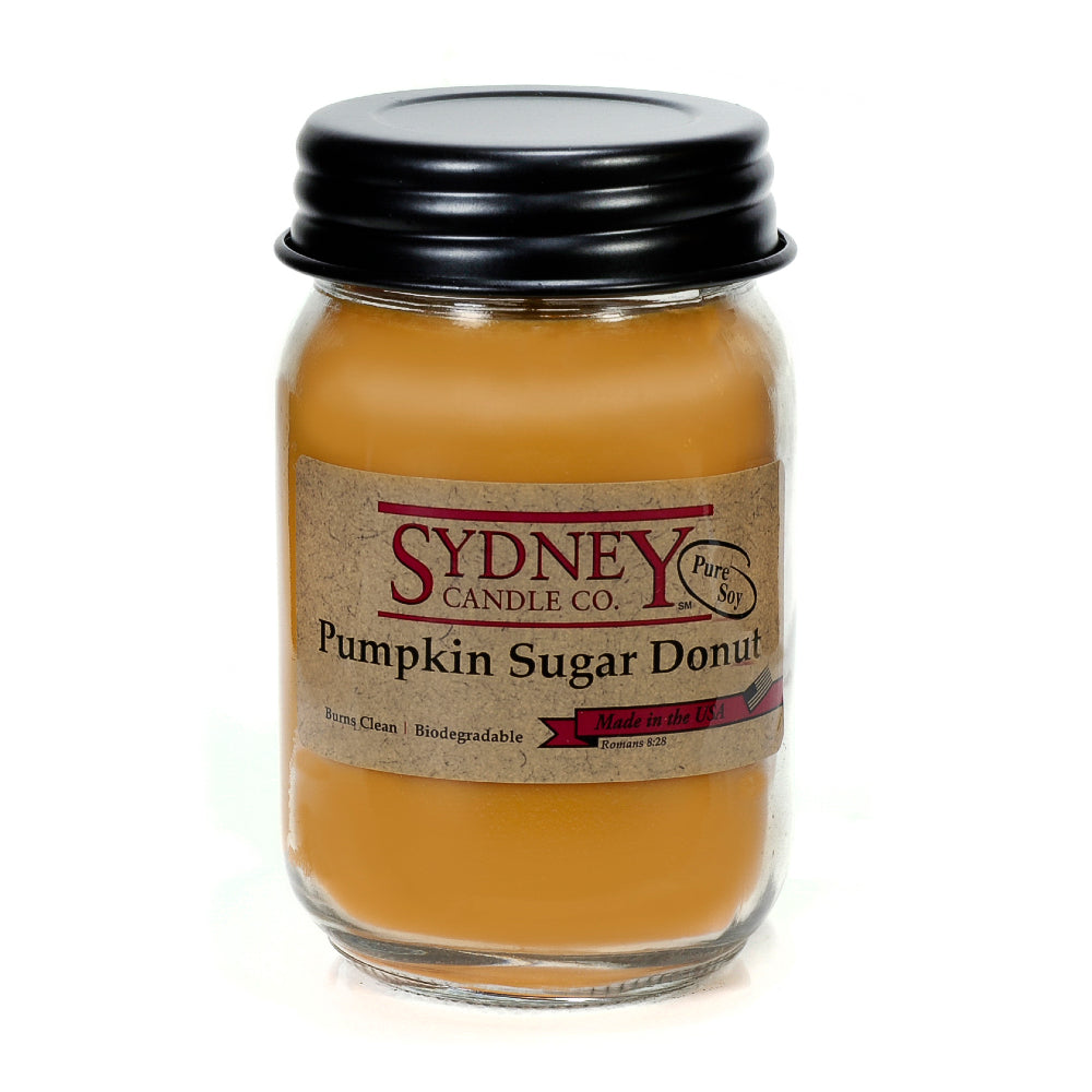 VHTF Rare Pumpkin Sugared Doughnut candle 2024 BBW