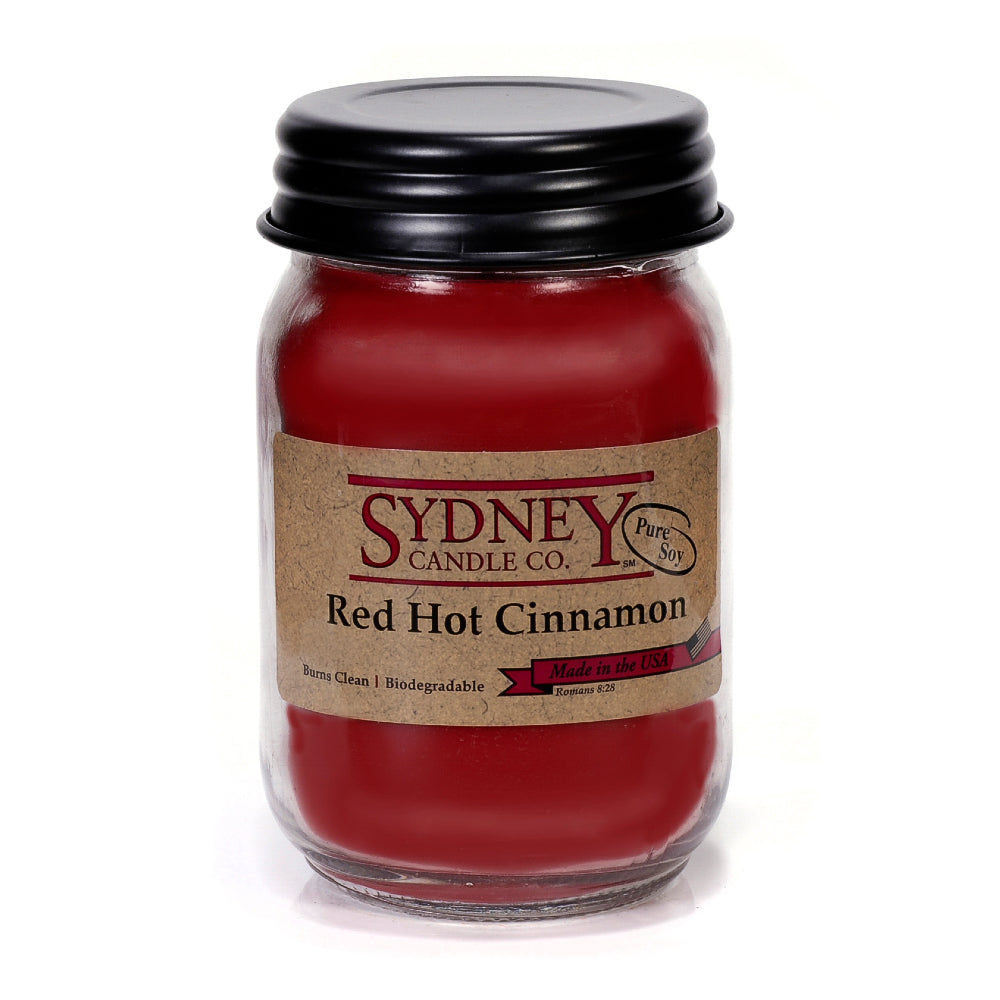 Spicy Cinnamon - Red Hot Candy Scented Wax Melt - 1 Pack - 2 Ounces 