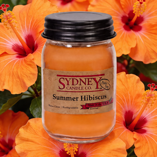 Summer Hibiscus