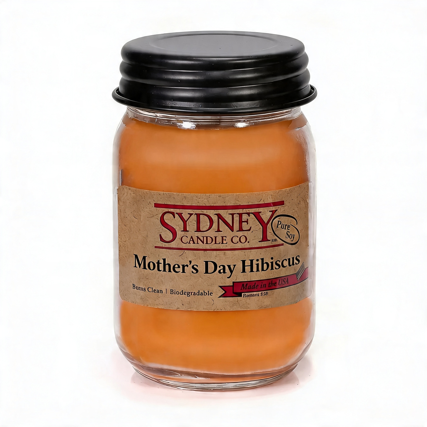 Mother's Day Hibiscus